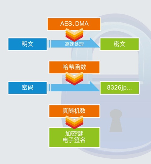 �й����׷�|������(8883��AMG)�ٷ���վ